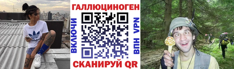 купить   Тихвин  Галлюциногенные грибы прущие грибы 