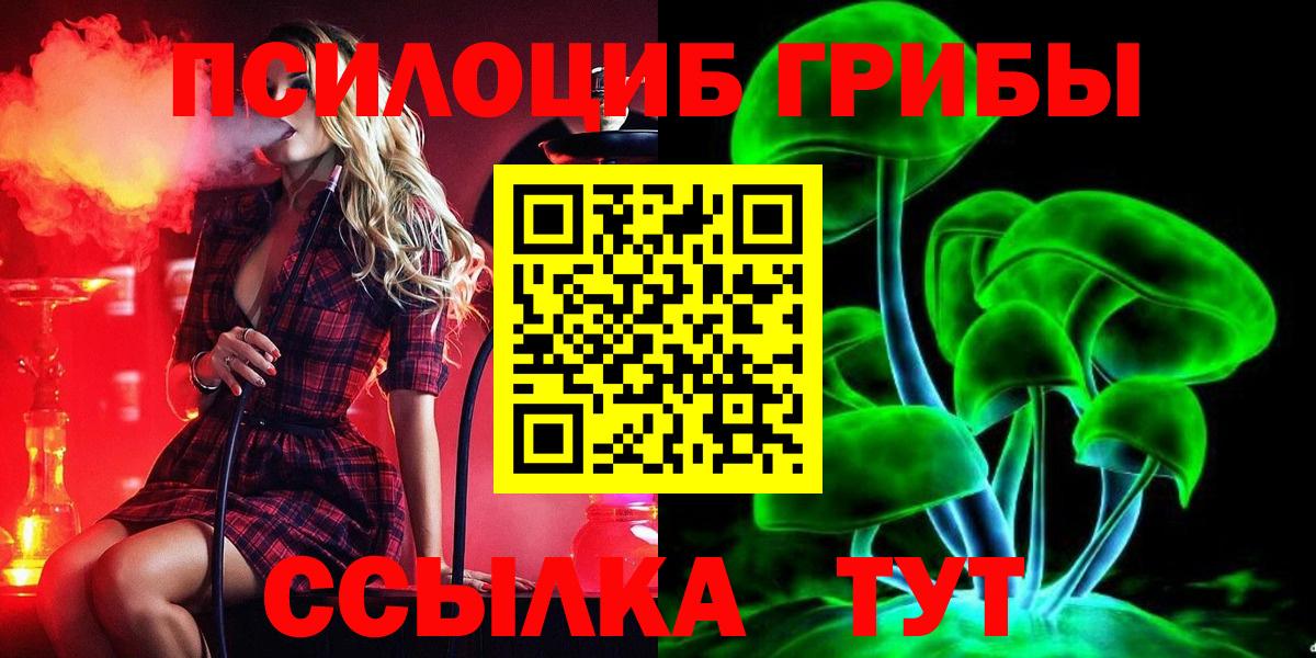 Галлюциногенные грибы Psilocybe Тихвин