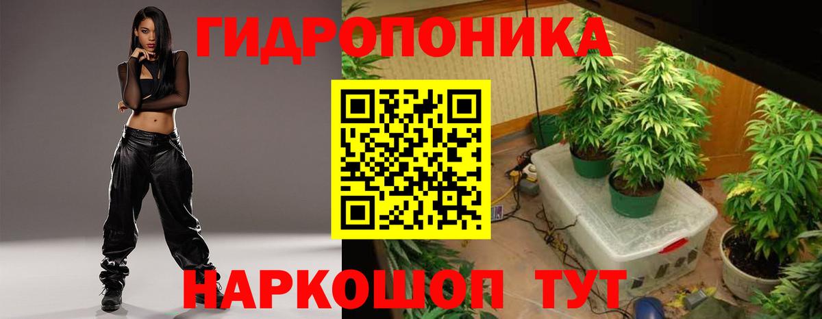 Каннабис OG Kush Тихвин